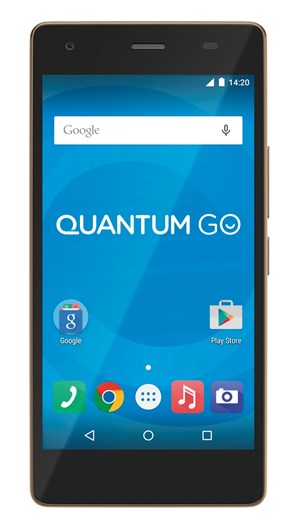 Quantum Go